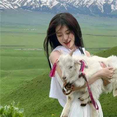 猫和老鼠:回到奥兹
